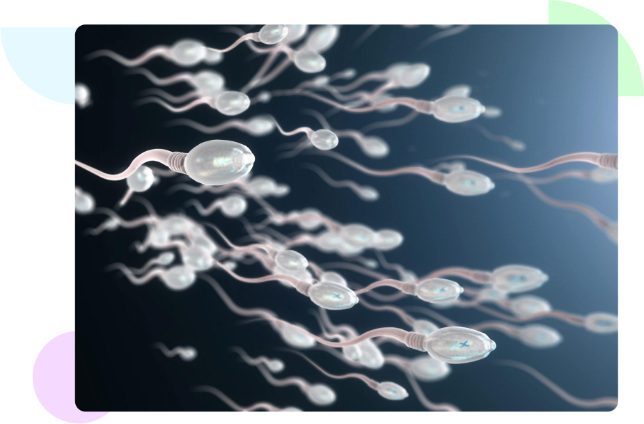 Sperm Freezing